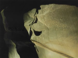 Image description is not available for 2011.051